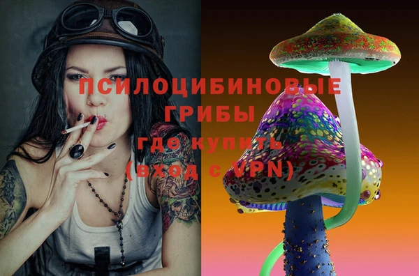 прущая мука Вязники