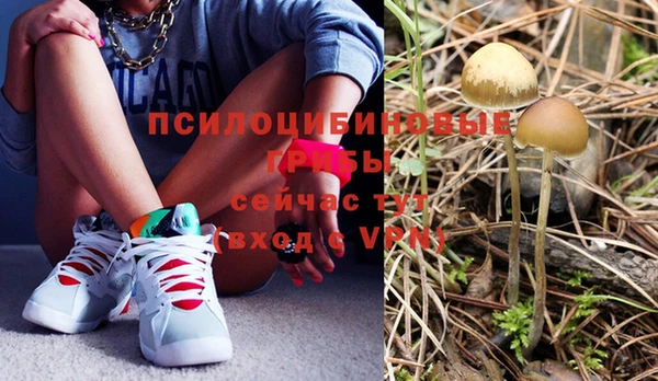 jwh Вяземский