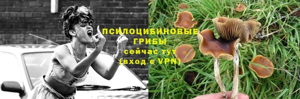 jwh Вяземский
