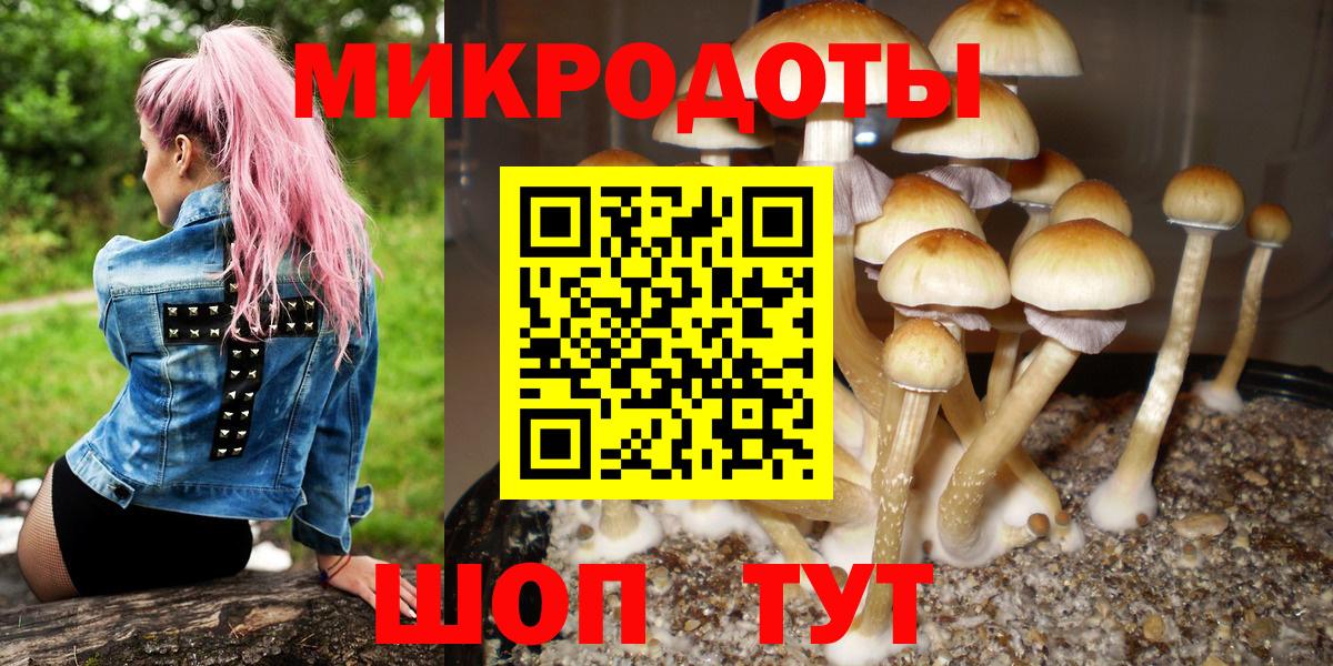 Псилоцибиновые грибы ЛСД Назарово