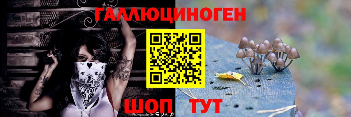 Назарово  где купить наркотик  Вход с VPN  Псилоцибиновые грибы прущие грибы 